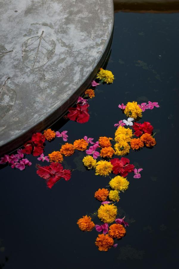 Purity At Lake Vembanad Mararikulam Extérieur photo